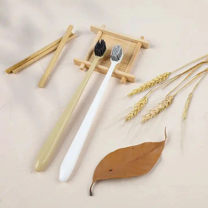 PLA Biodegradable toothbrush